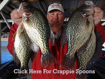 Crappie Starter Pack for clear and stained lakes.